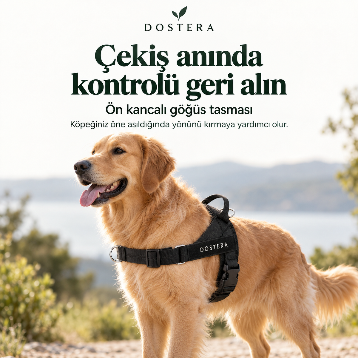 DOSTERA ControlFit™