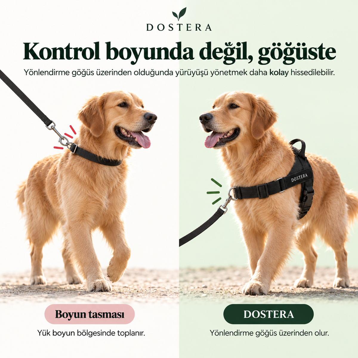 DOSTERA ControlFit™