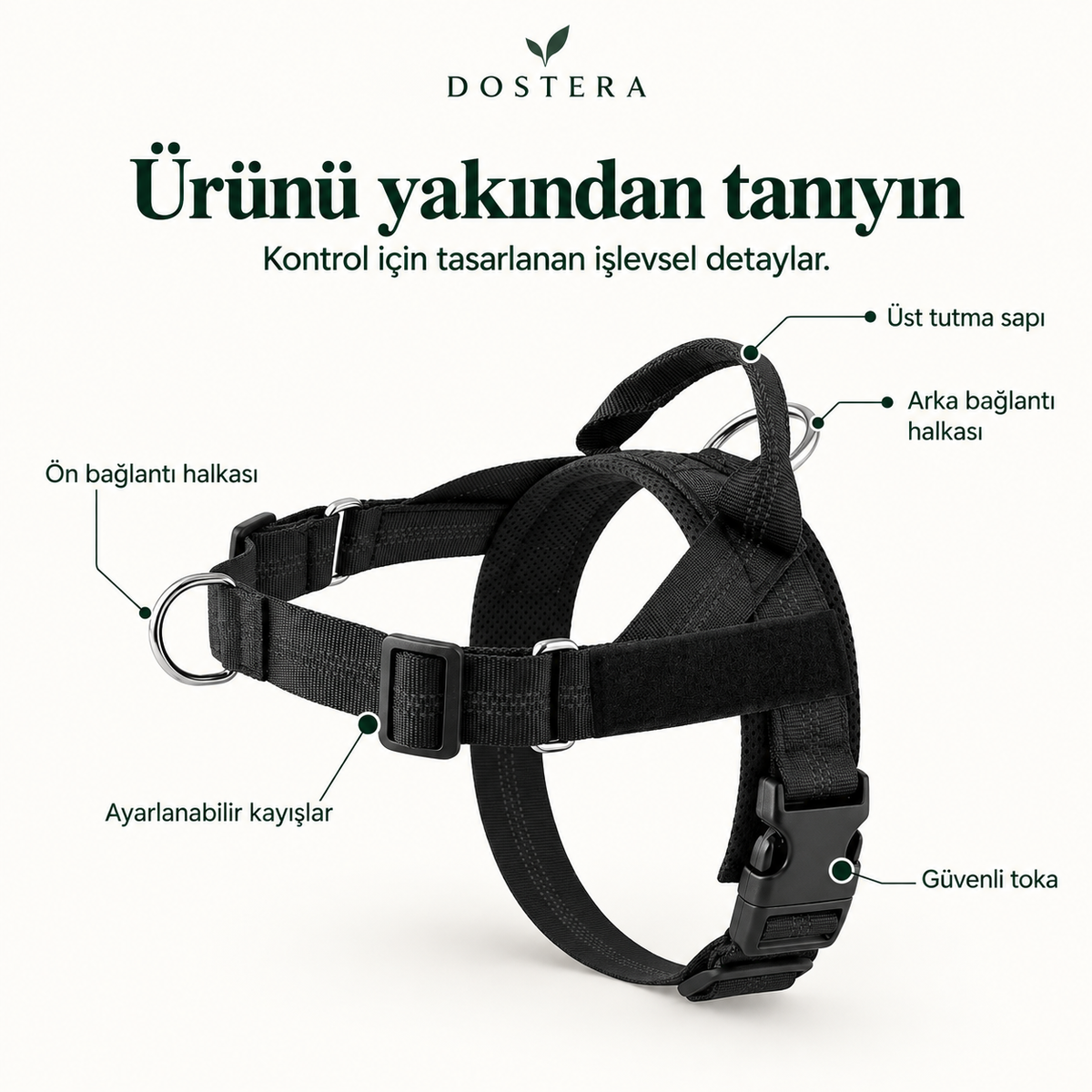 DOSTERA ControlFit™