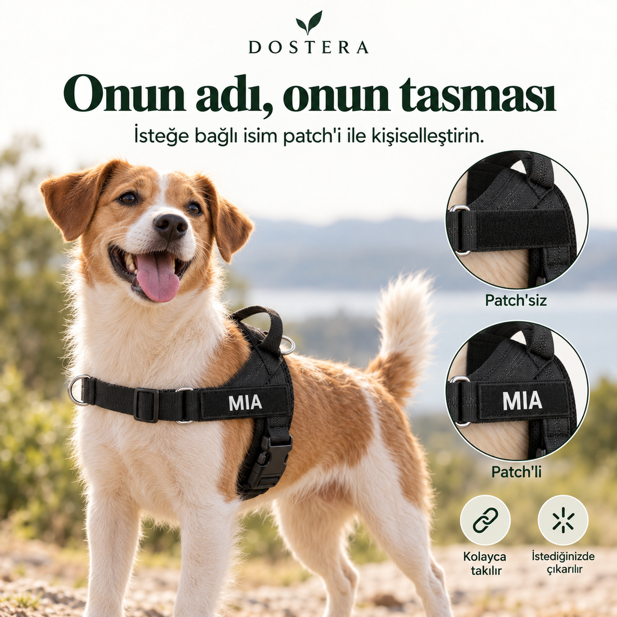 DOSTERA ControlFit™